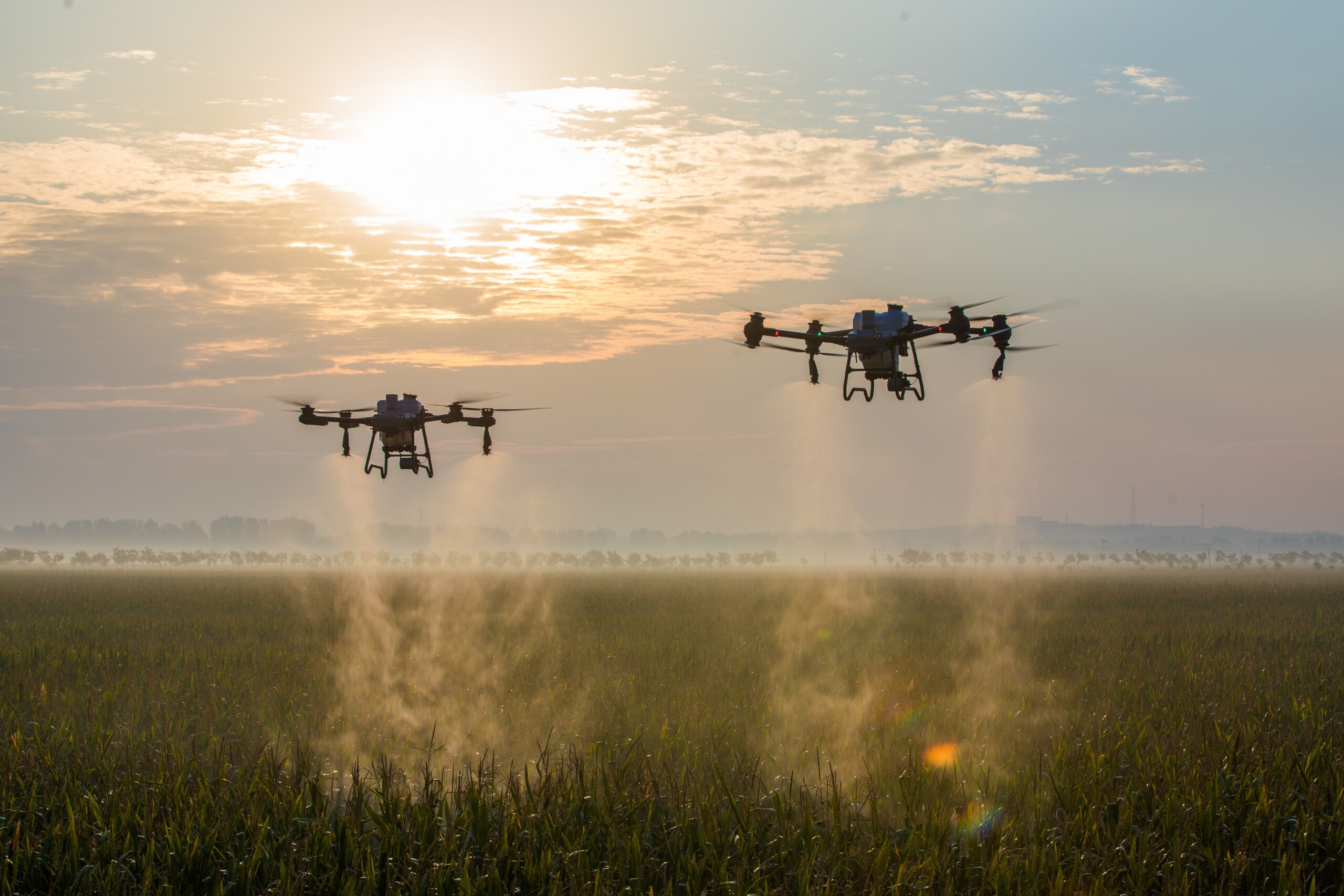 drone